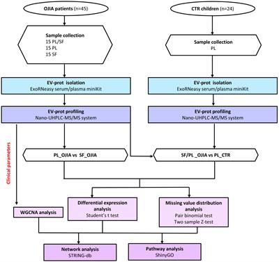 Proteomic profiling of extracellular vesicles in synovial fluid and plasma from Oligoarticular Juvenile Idiopathic  Arthritis patients reveals novel immunopathogenic biomarkers